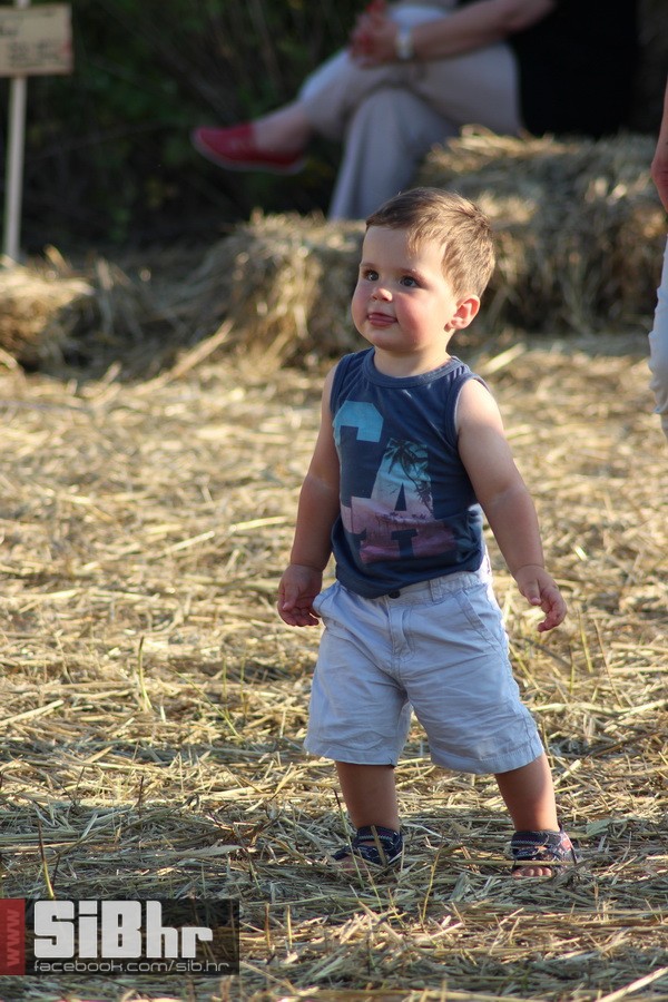 slama_dan_drugi_SiBhr_17 slama_dan_drugi_SiBhr_17