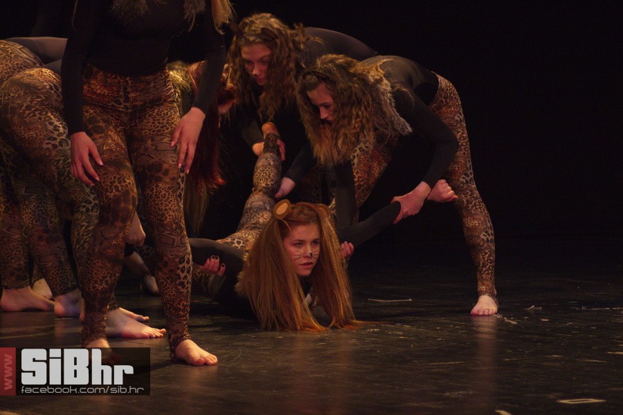 broadway_plesna_produkcija_13