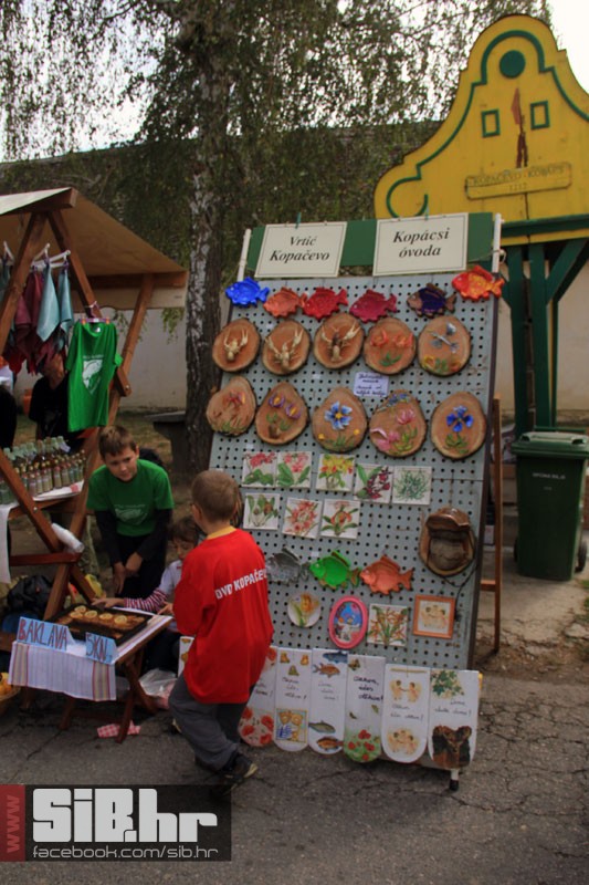 kopacevo_ribarski_dani_2012_sib