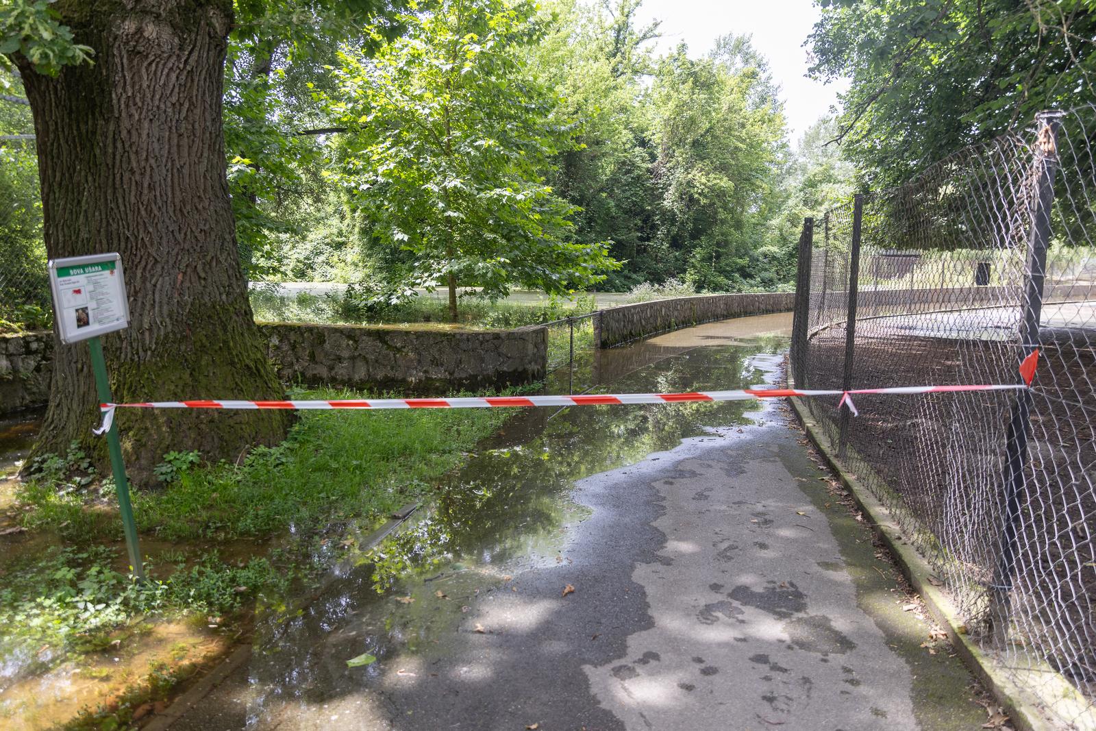 Preplavljeni osječki ZOO vrt intrigira životinje i posjetitelje
