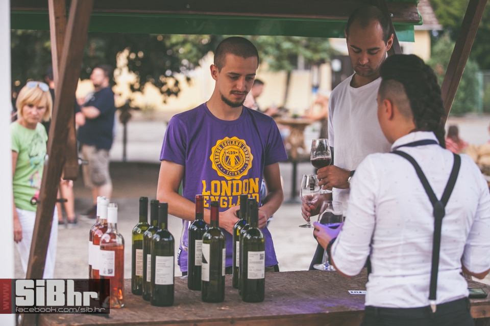 wine_fest_erdut_2016_SiBhr_16