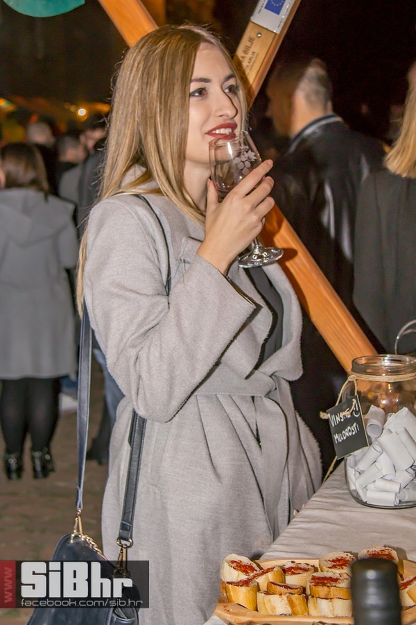 Vecer_vina_i_umjetnosti_SiB_hr-