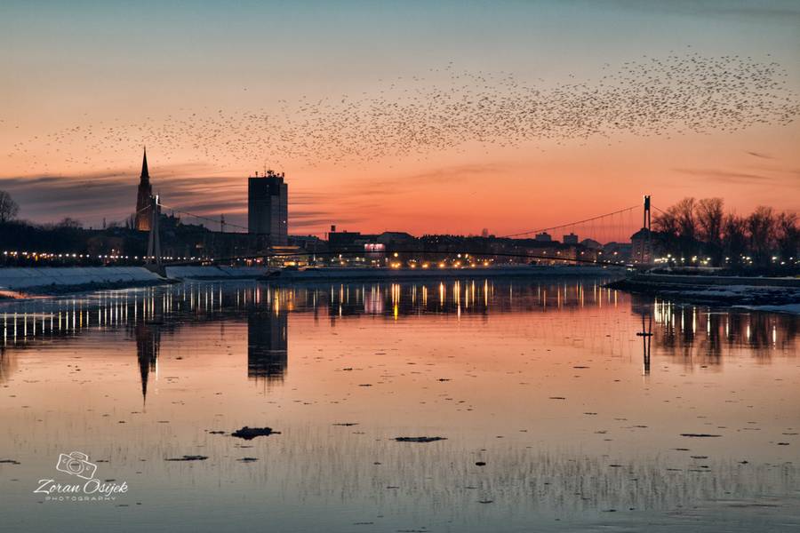 zima_by_zoran_osijek_SiBhr_28