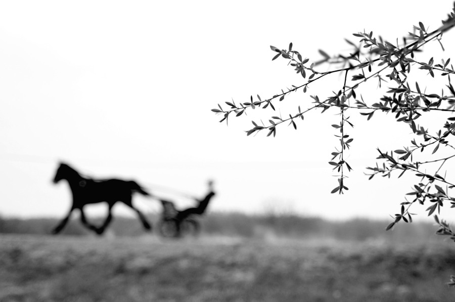 osijek_robert_marinkovic_32