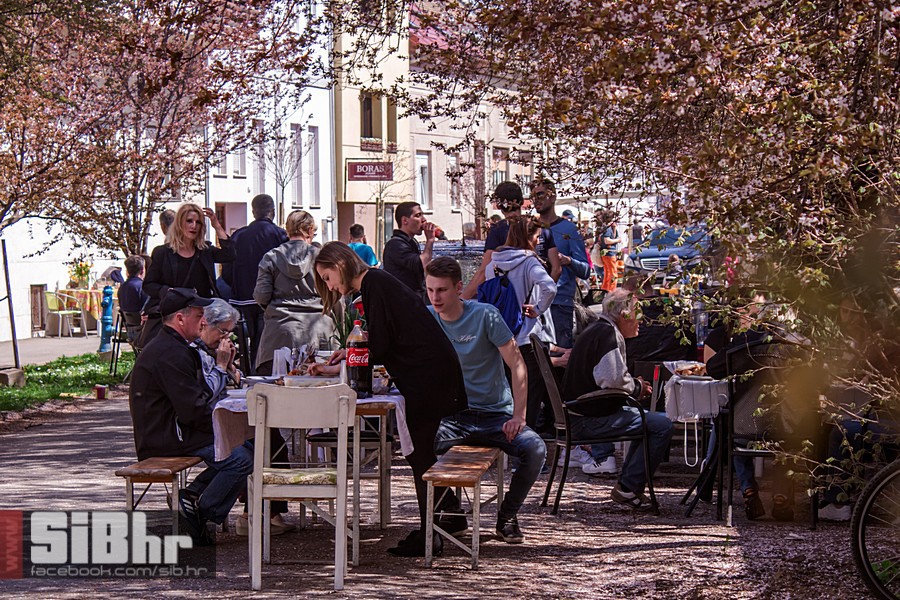 ulica_ringlova_ivica_benic_sibh