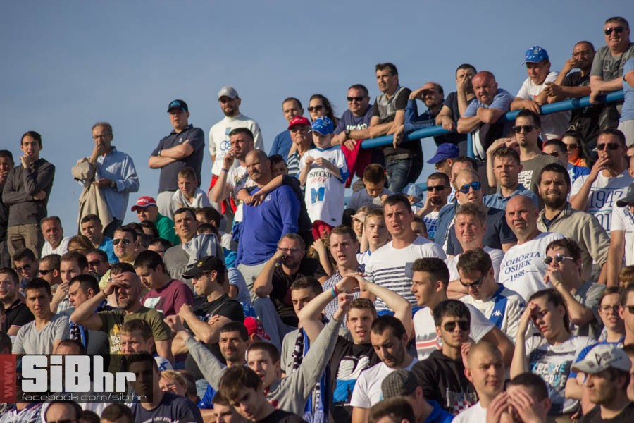 osijek_dinamo_antonija_stajduha