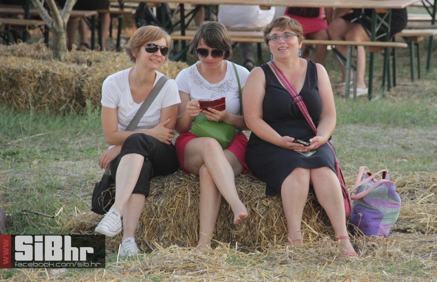 slama2015_subota_SiBhr31