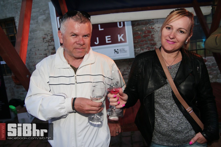 dani_vina_turizma_2016_sibhr_36