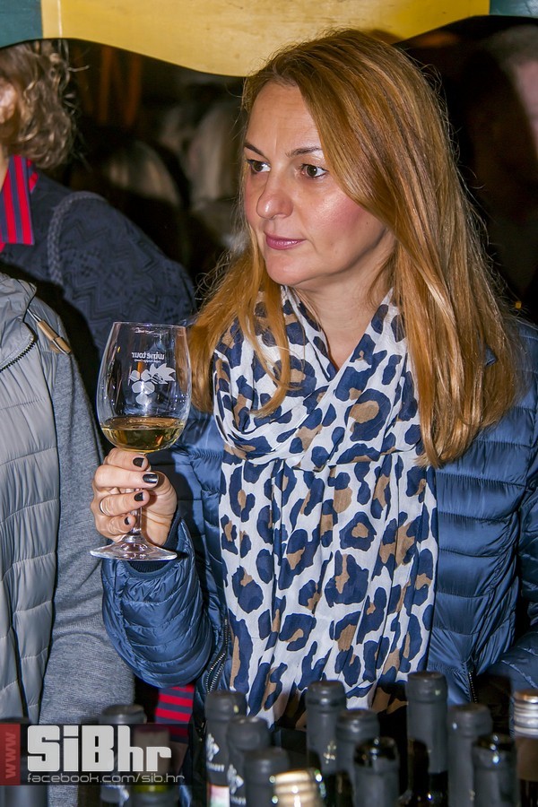 Vecer_vina_i_umjetnosti_SiB_hr-