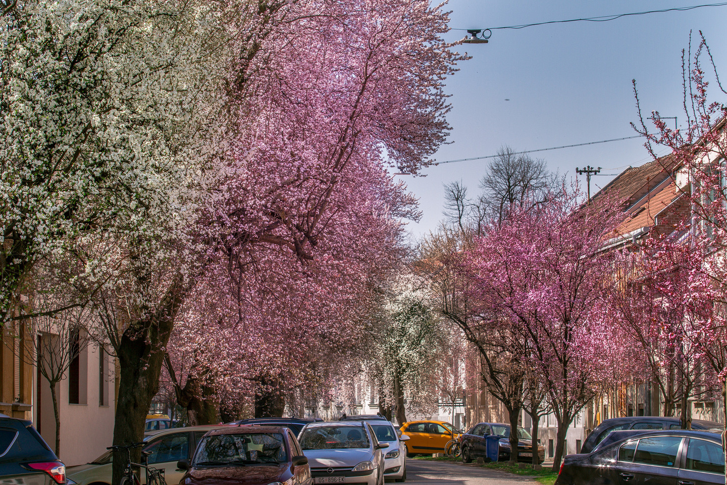 Ulica ringlova u Osijeku
