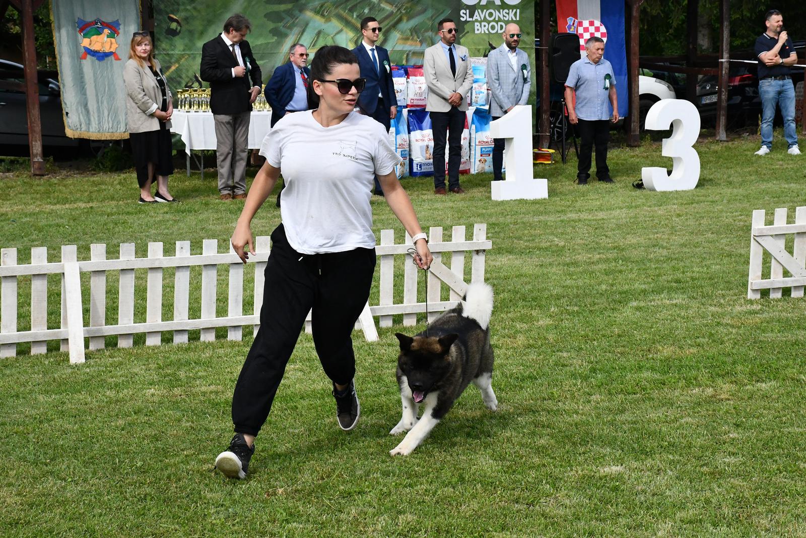 Nacionalna izložba pasa svih pasmina u Slavonskom Brodu