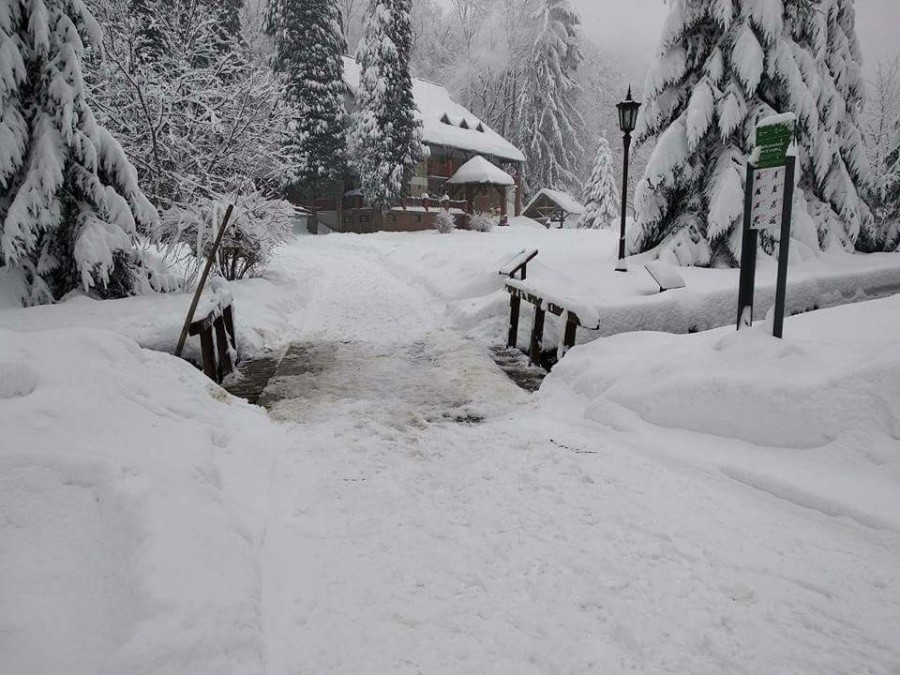 FB_IMG_1519646339293-900×675 FB_IMG_1519646339293-900×675