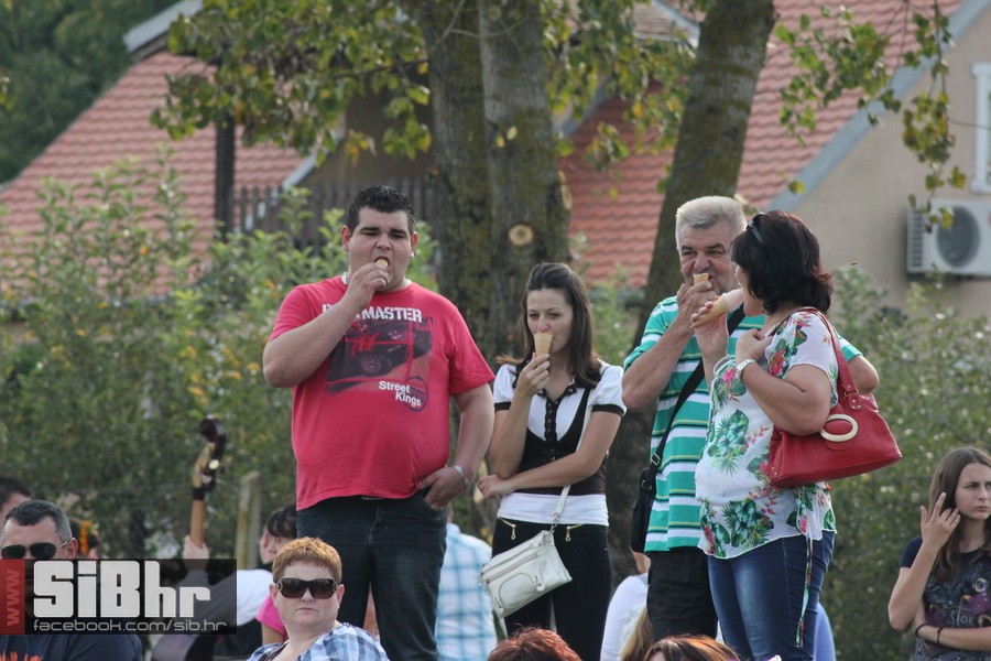 brodjanci_olimpijada_2014_SiBhr