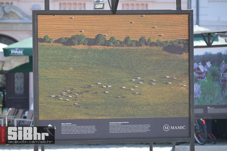 national_geographic_izlozba_osi