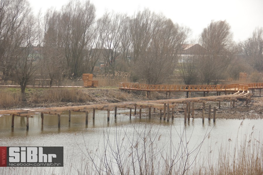 kopacki_rit_ozujak2015_SiBhr_43