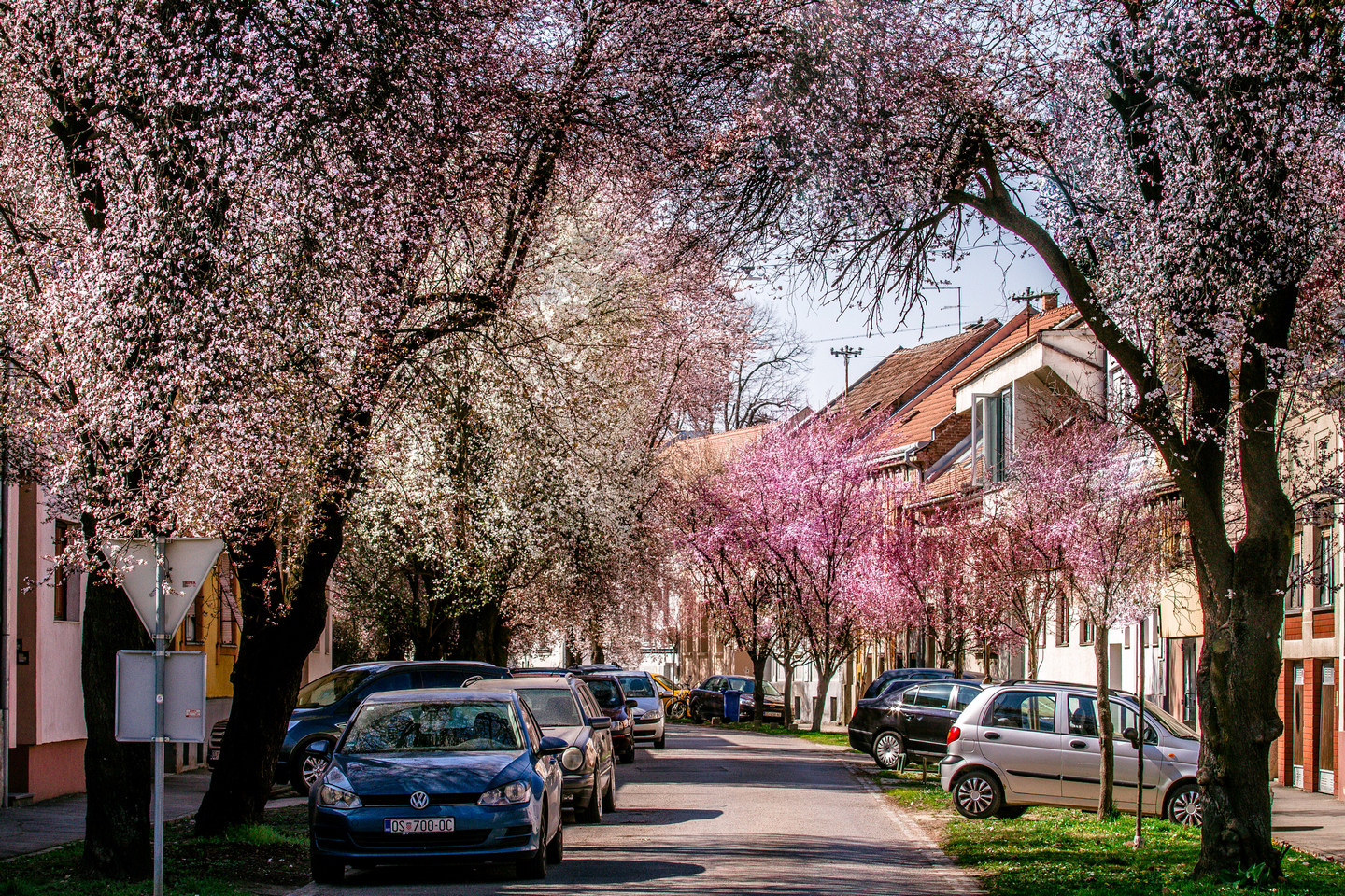 Ulica ringlova u Osijeku