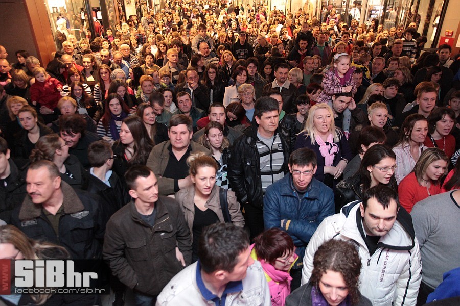 novifosili_portanova_SiBhr_8