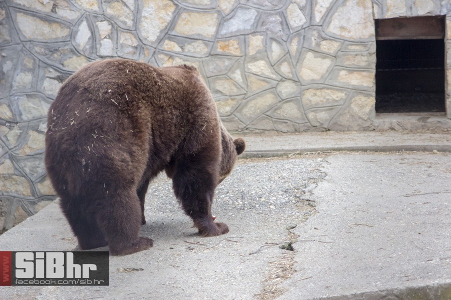 zoo_uskrs_2016_sibhr_119