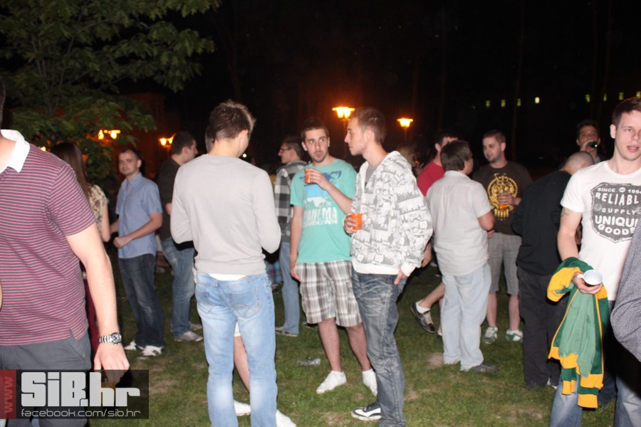 dc_party_sib