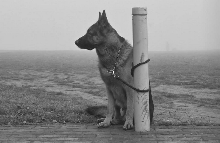 magla_osijek_01