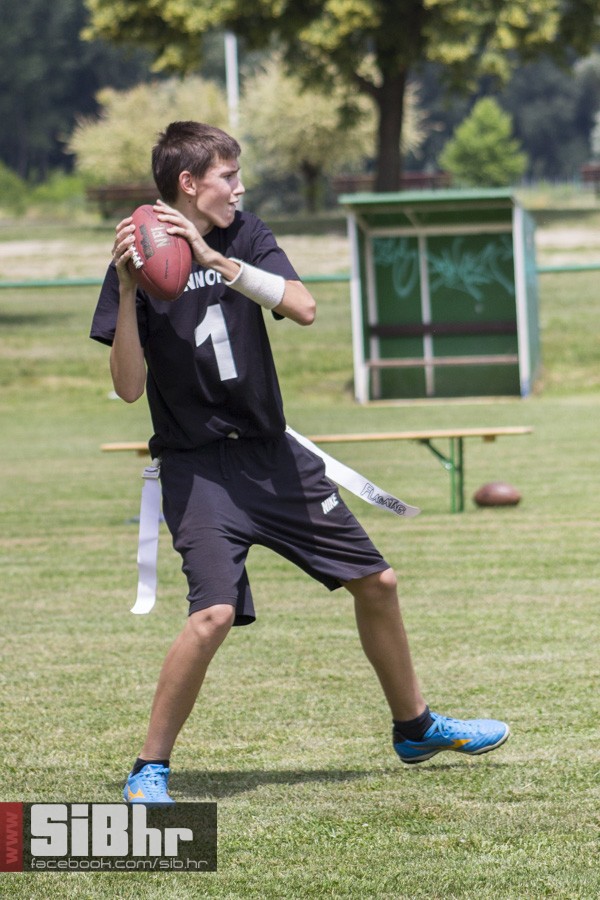 cannons_20
