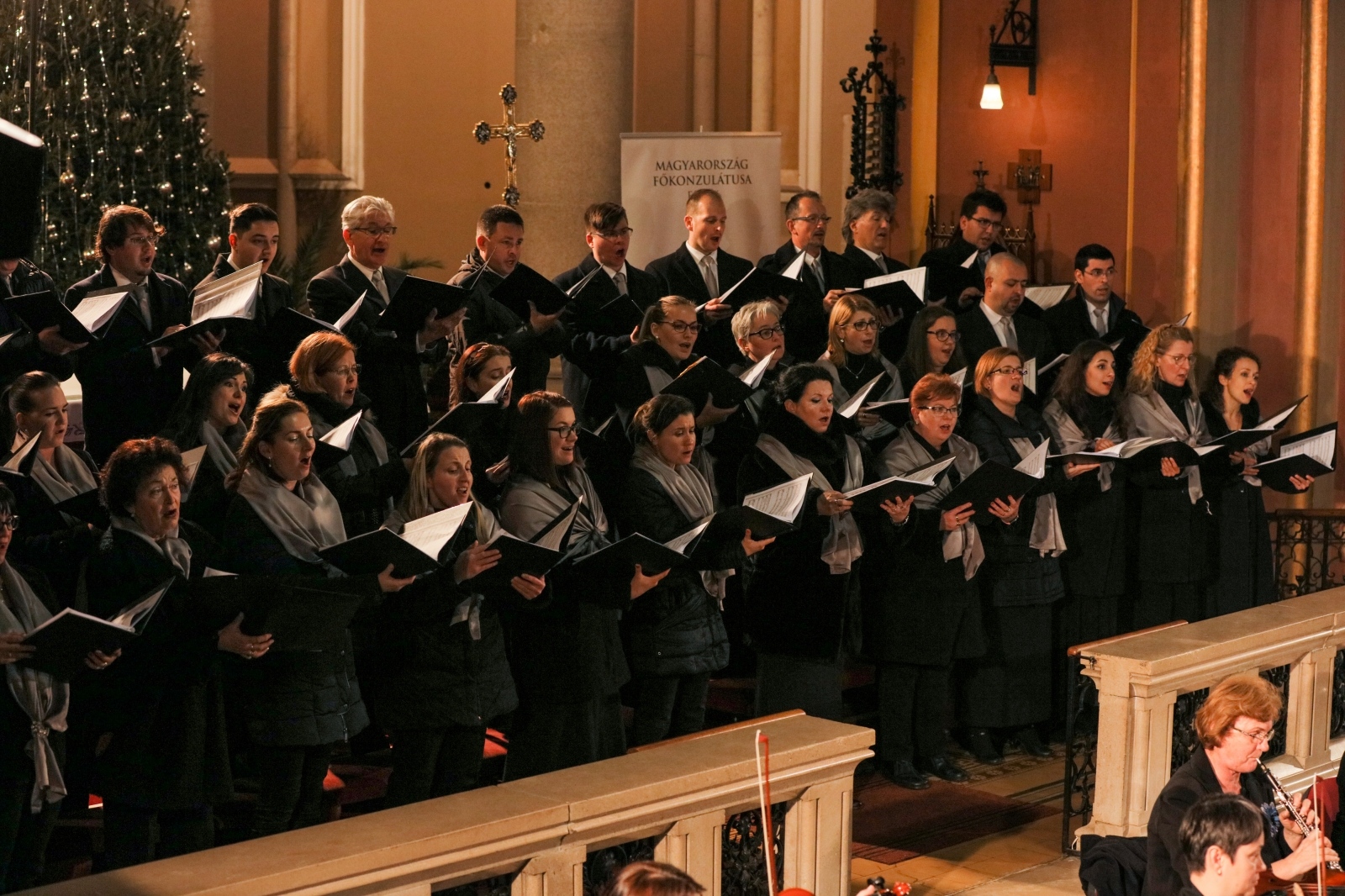 Panonska filharmonija U Osijeku