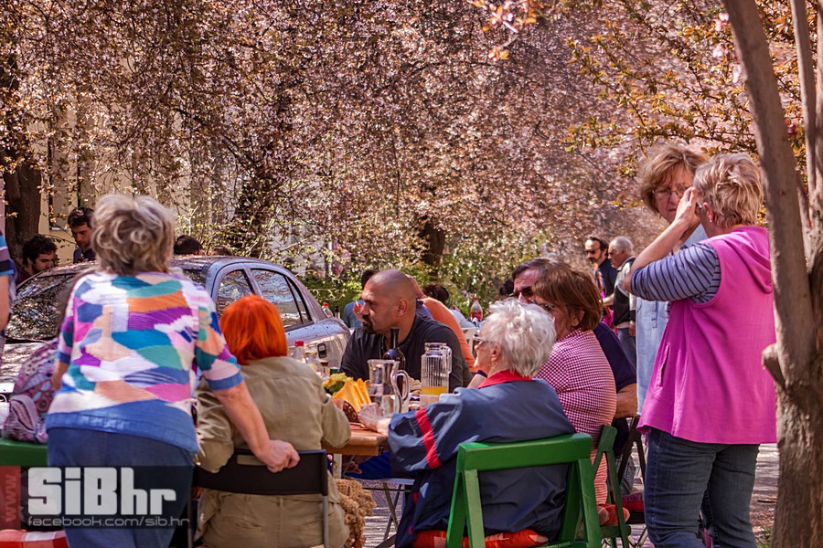 ulica_ringlova_ivica_benic_sibh