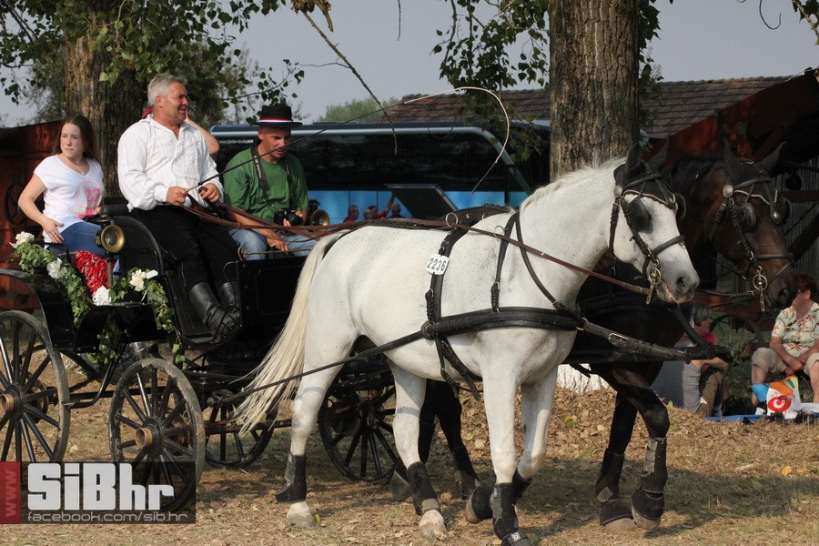 brodjanci_olimpijada_2014_SiBhr