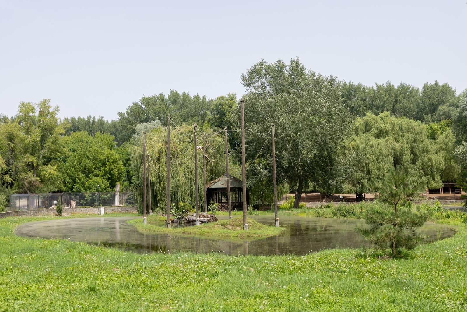 Preplavljeni osječki ZOO vrt intrigira životinje i posjetitelje