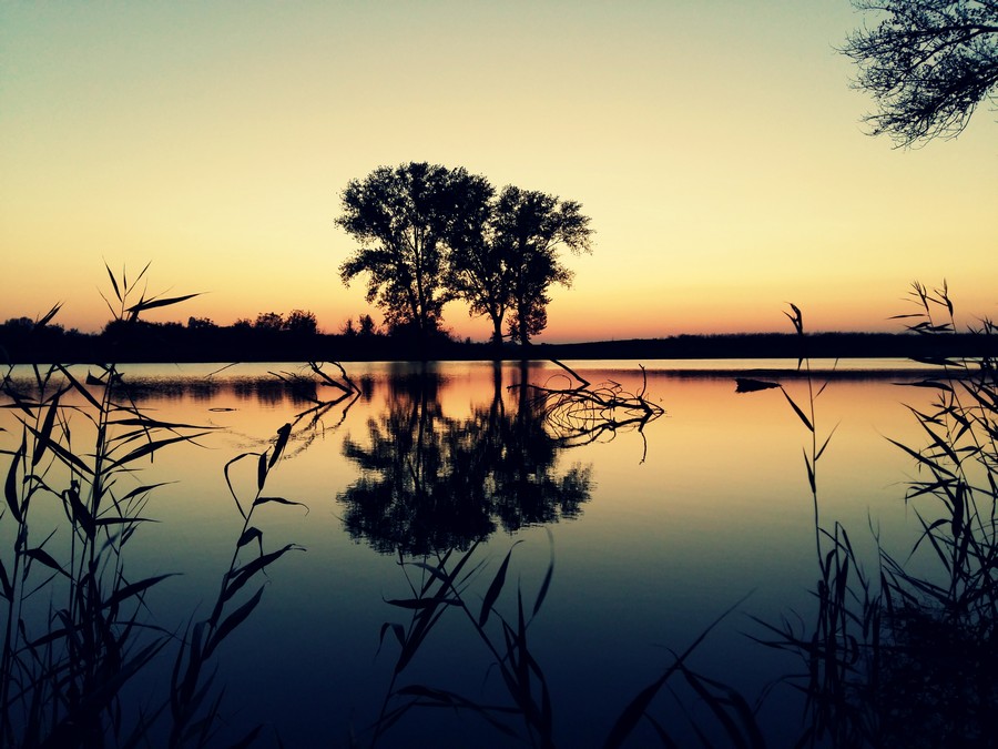 baranja_by_gordan_trtanj_SiBhr_