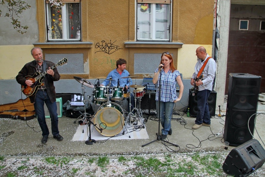 ringlovi_2014_01