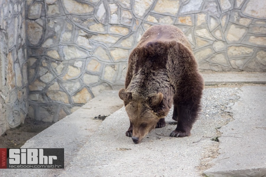 zoo_uskrs_2016_sibhr_122