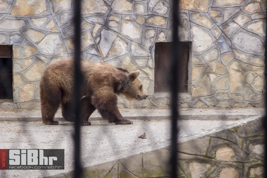zoo_uskrs_2016_sibhr_114