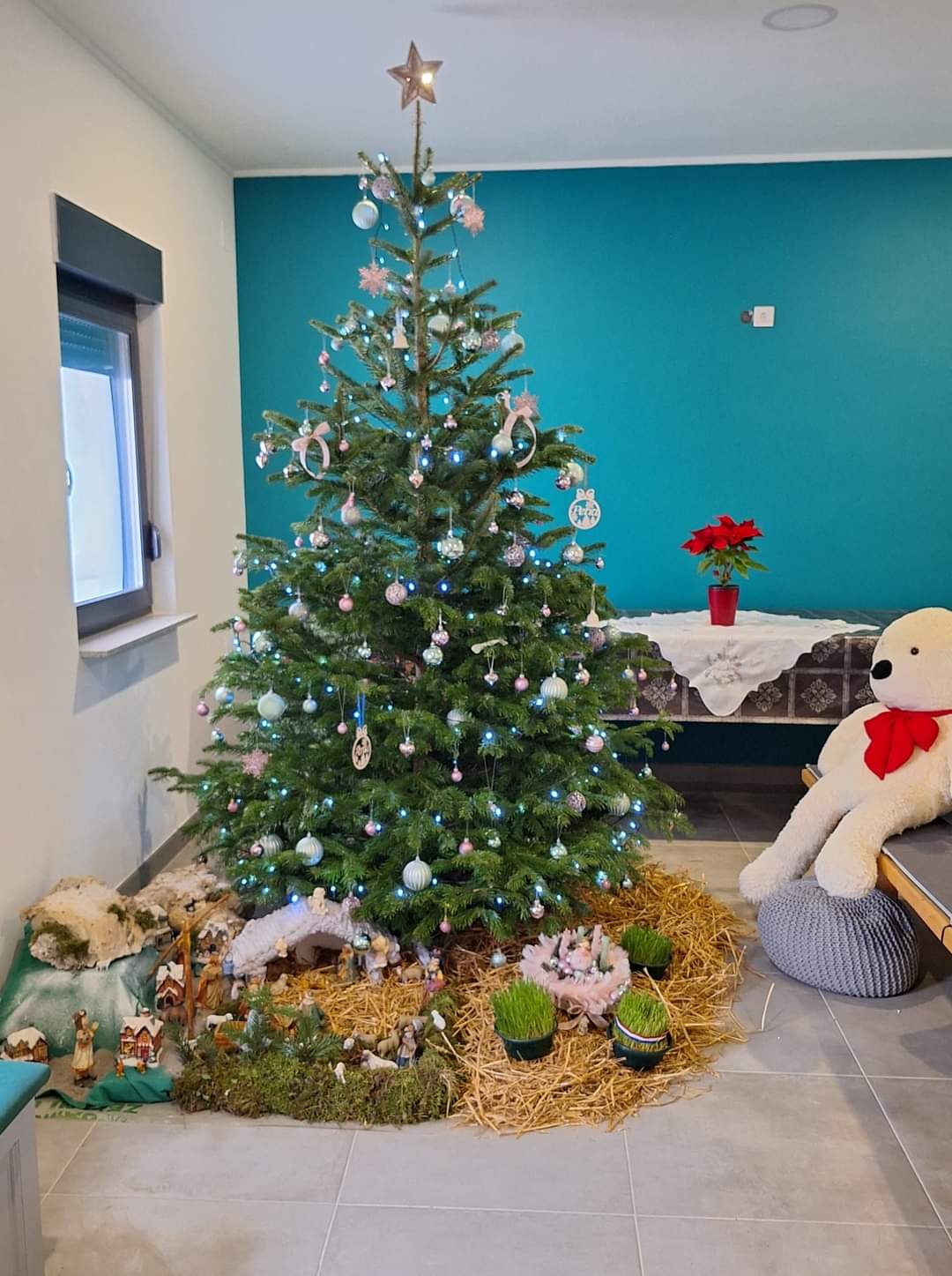 Najljepši borovi na Božić 2023. Najljepši borovi na Božić 2023.