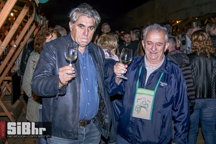 Vecer_vina_i_umjetnosti_SiB_hr-