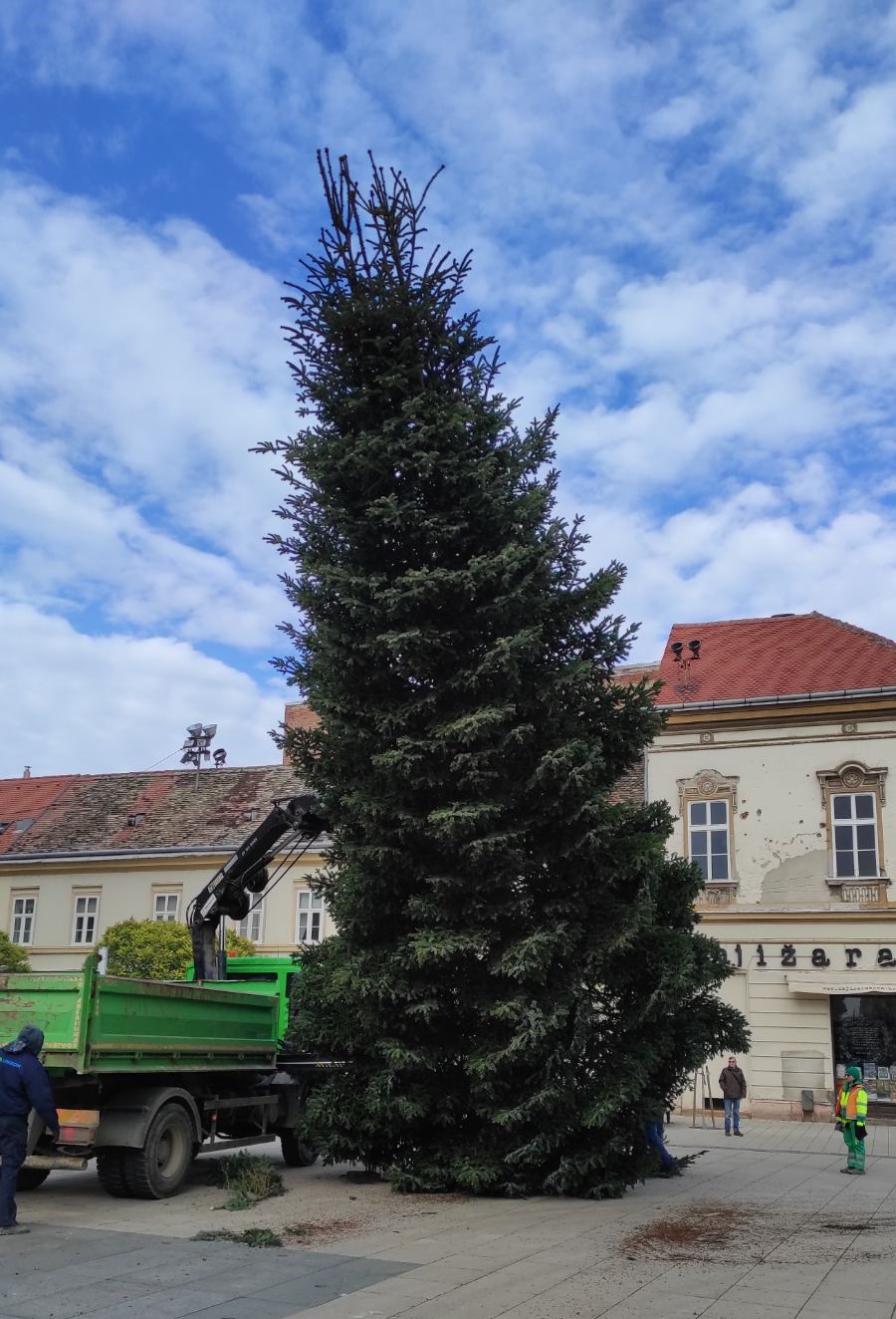 Adventski bor u Osijeku