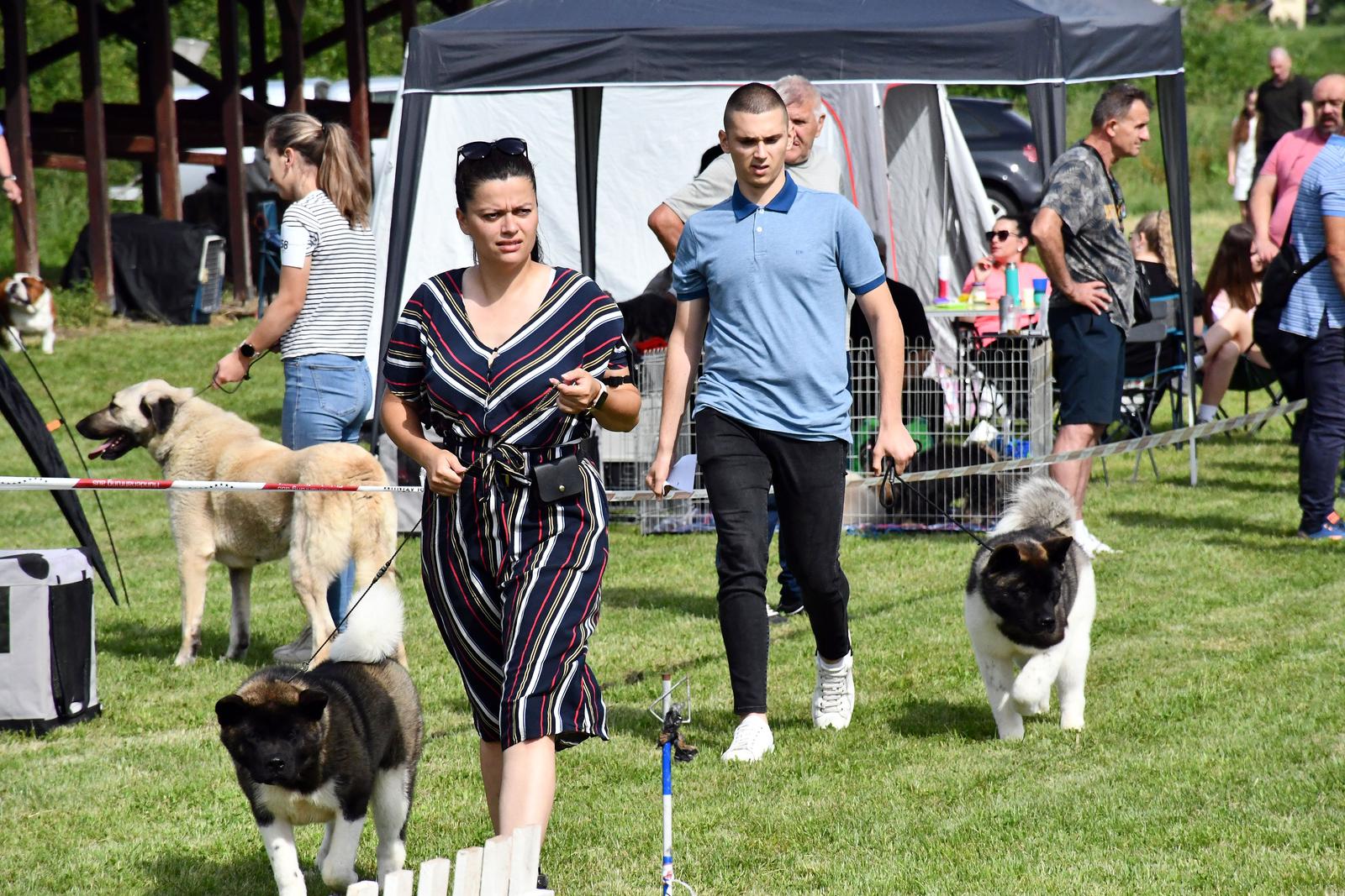 Nacionalna izložba pasa svih pasmina u Slavonskom Brodu