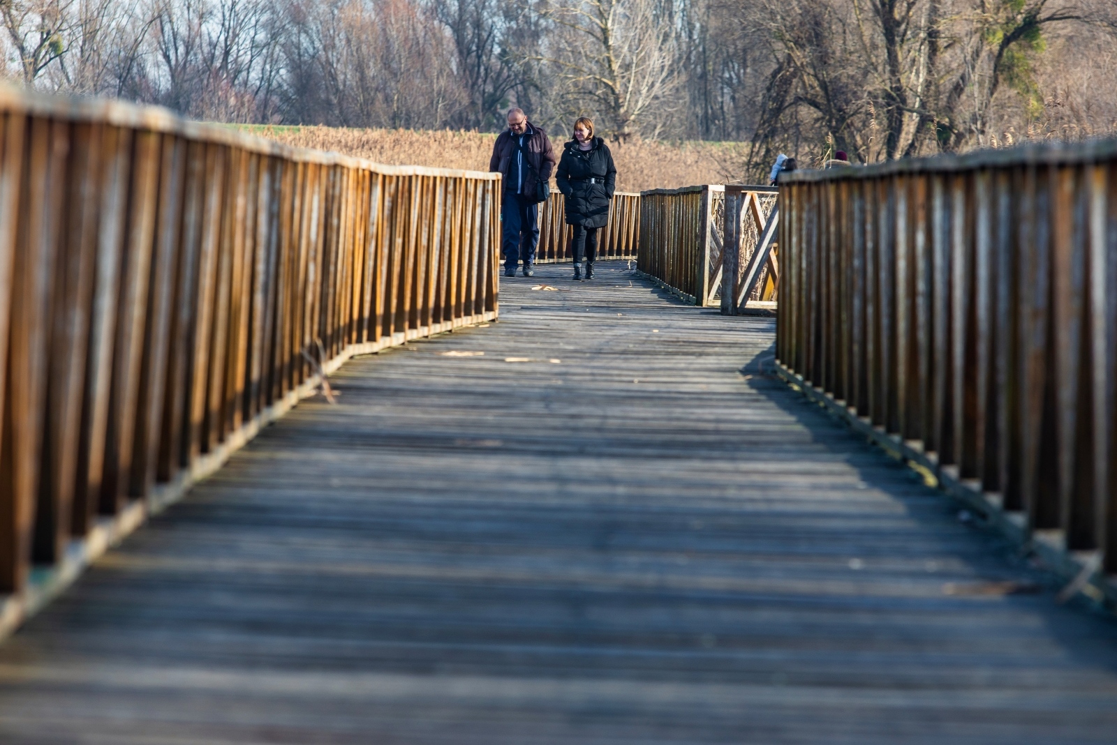Sunčana šetnja Kopačkim ritom