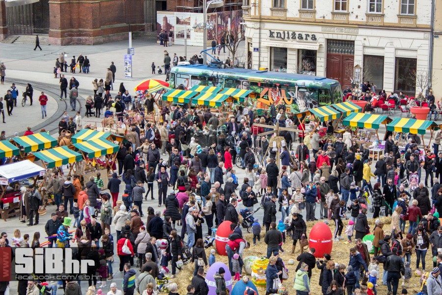 gnijezdo2015_66