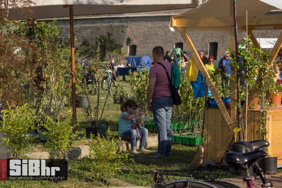 sajam_cvijeca_osijek_17