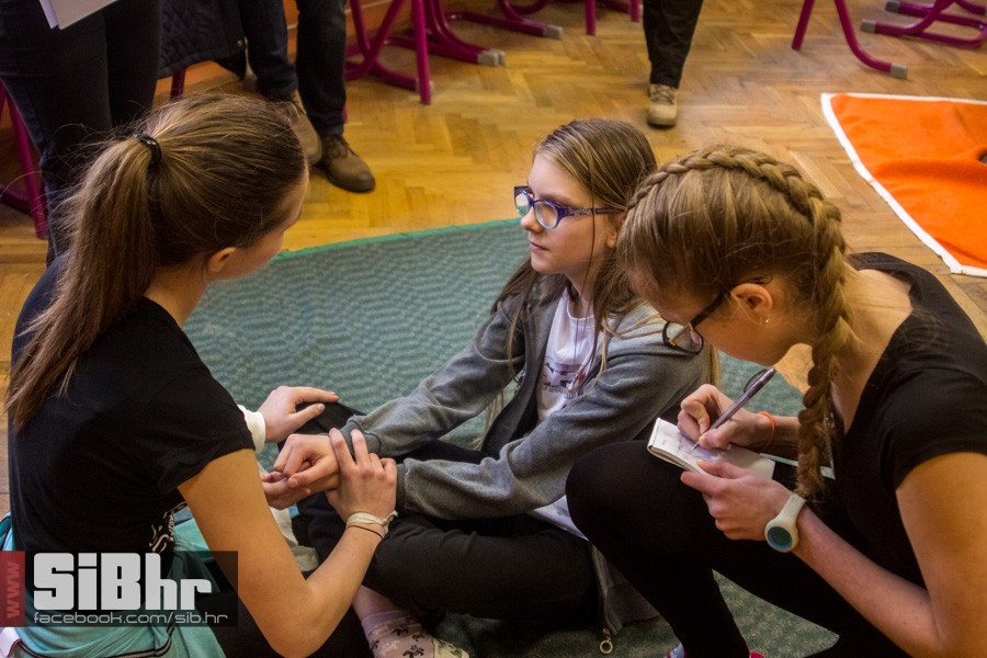 crvenikriz1203_2016_sibhr_44