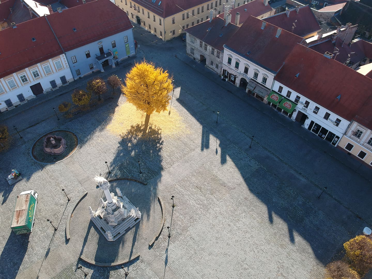 Ginko u osječkoj Tvrđi