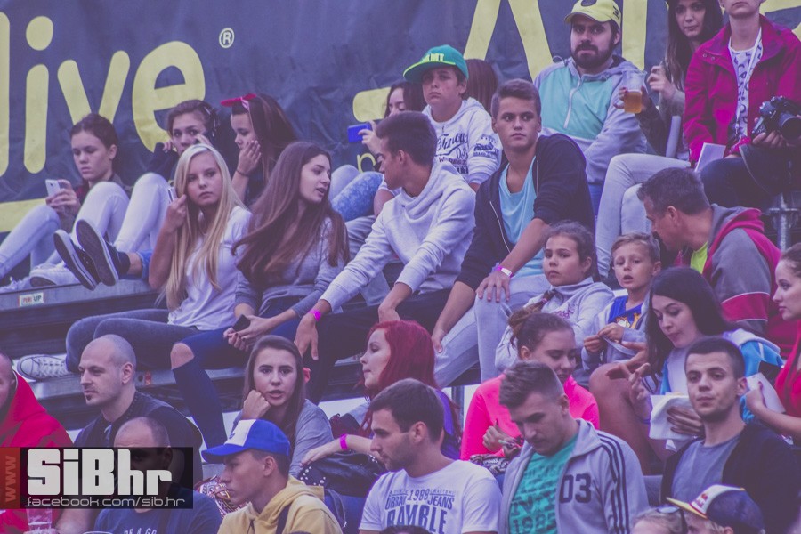pannonian_petak2015_SiBhr22