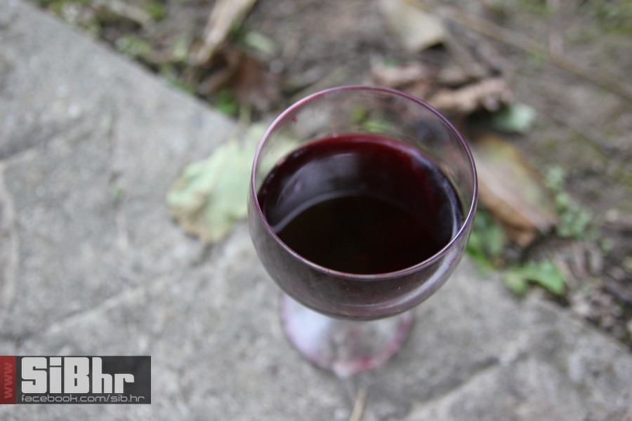 vinski_maraton_zamjevac_SiBhr_6 vinski_maraton_zamjevac_SiBhr_6