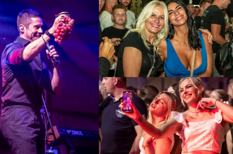 dani piva nikola rokvić