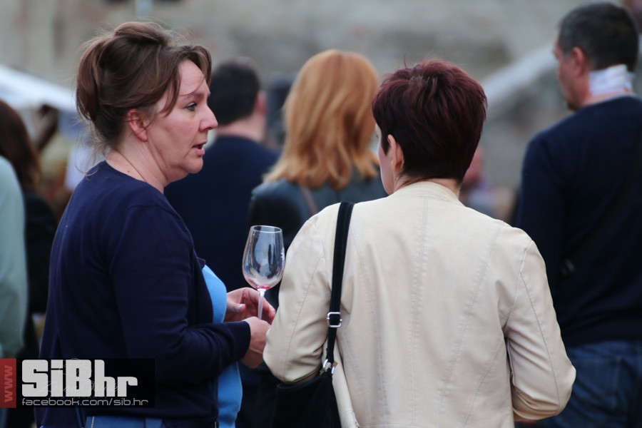 dani_vina_turizma_2016_sibhr_15