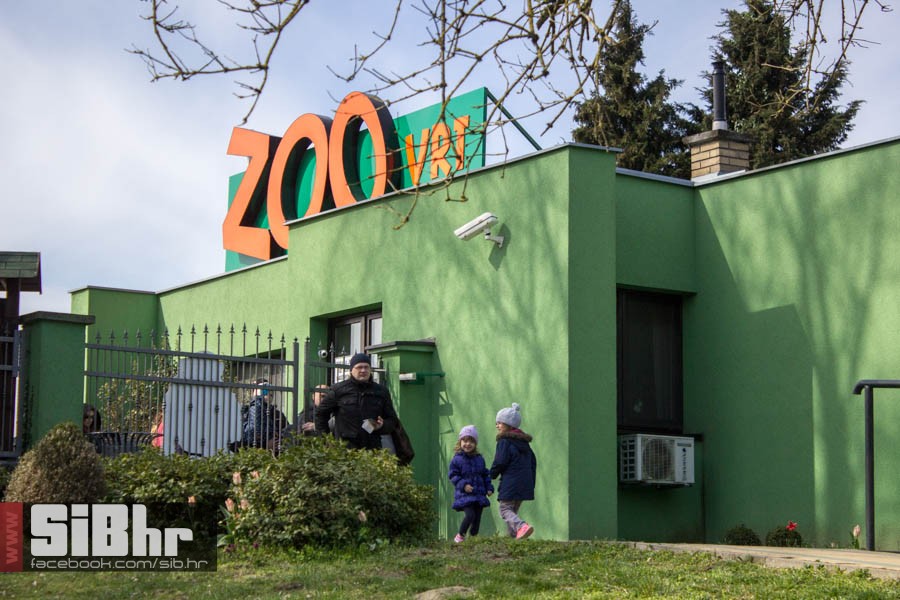 zoo_vrt_10