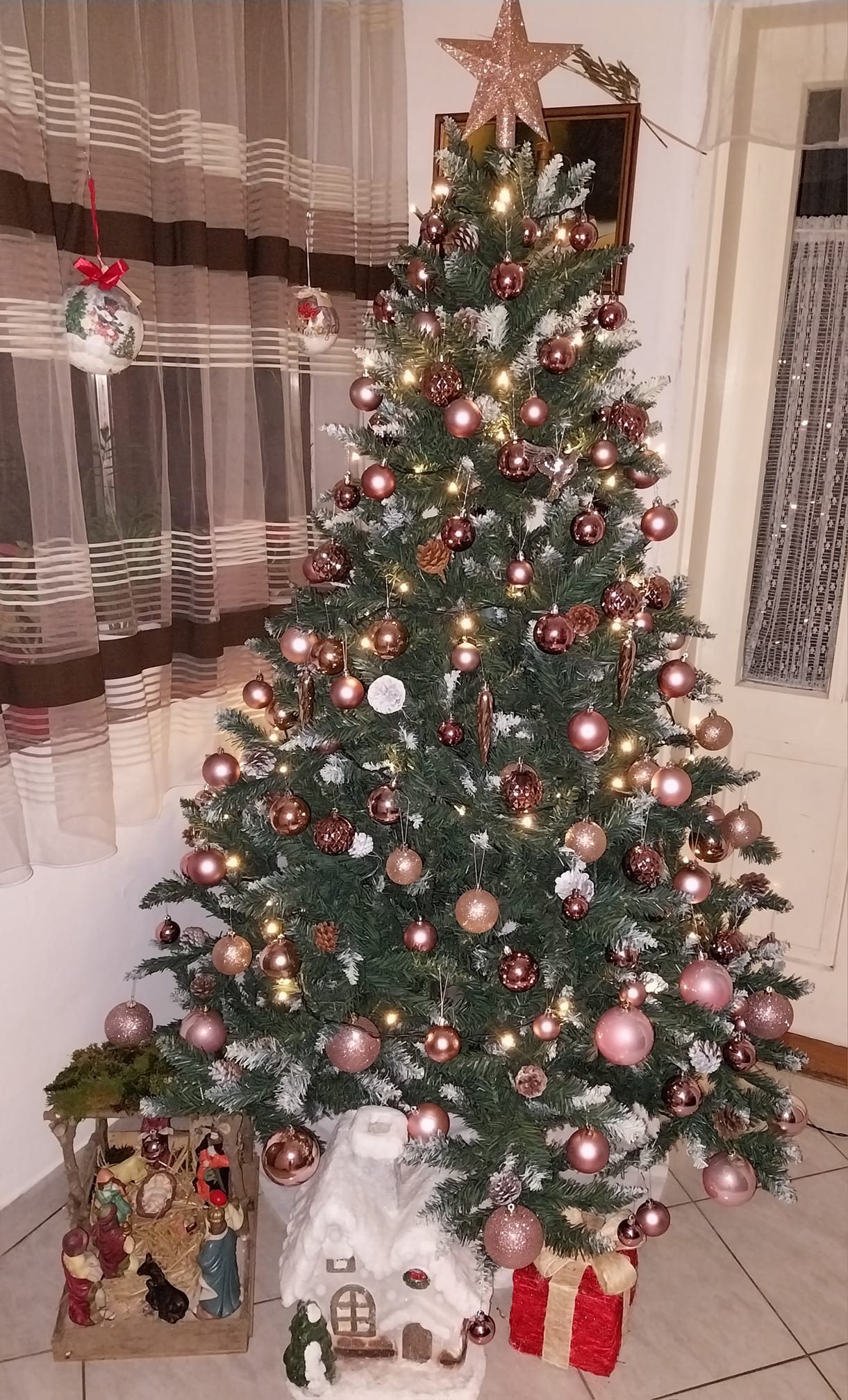 Najljepši borovi na Božić 2023. Najljepši borovi na Božić 2023.