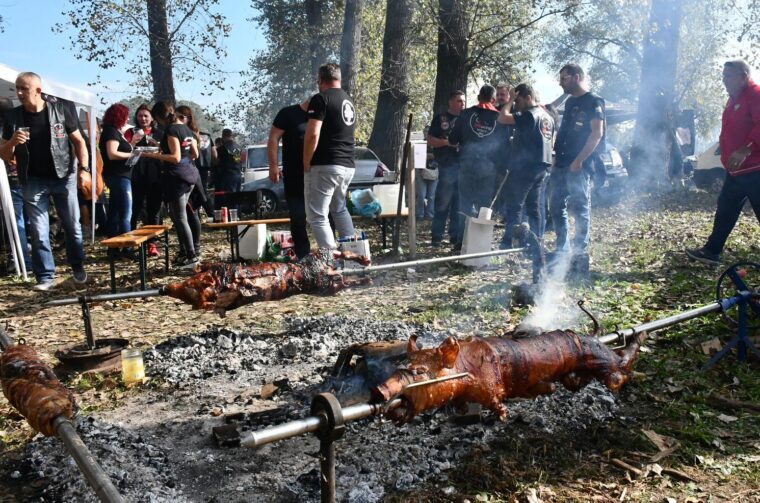 Pečenkijada u Slavonskom Brodu