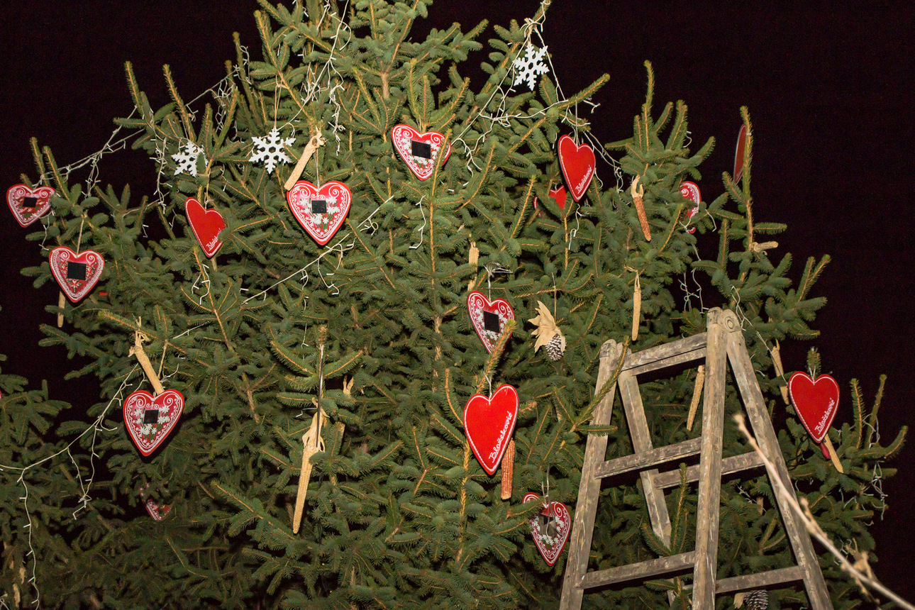 Brevisice upalile drugu adventsku svijeću